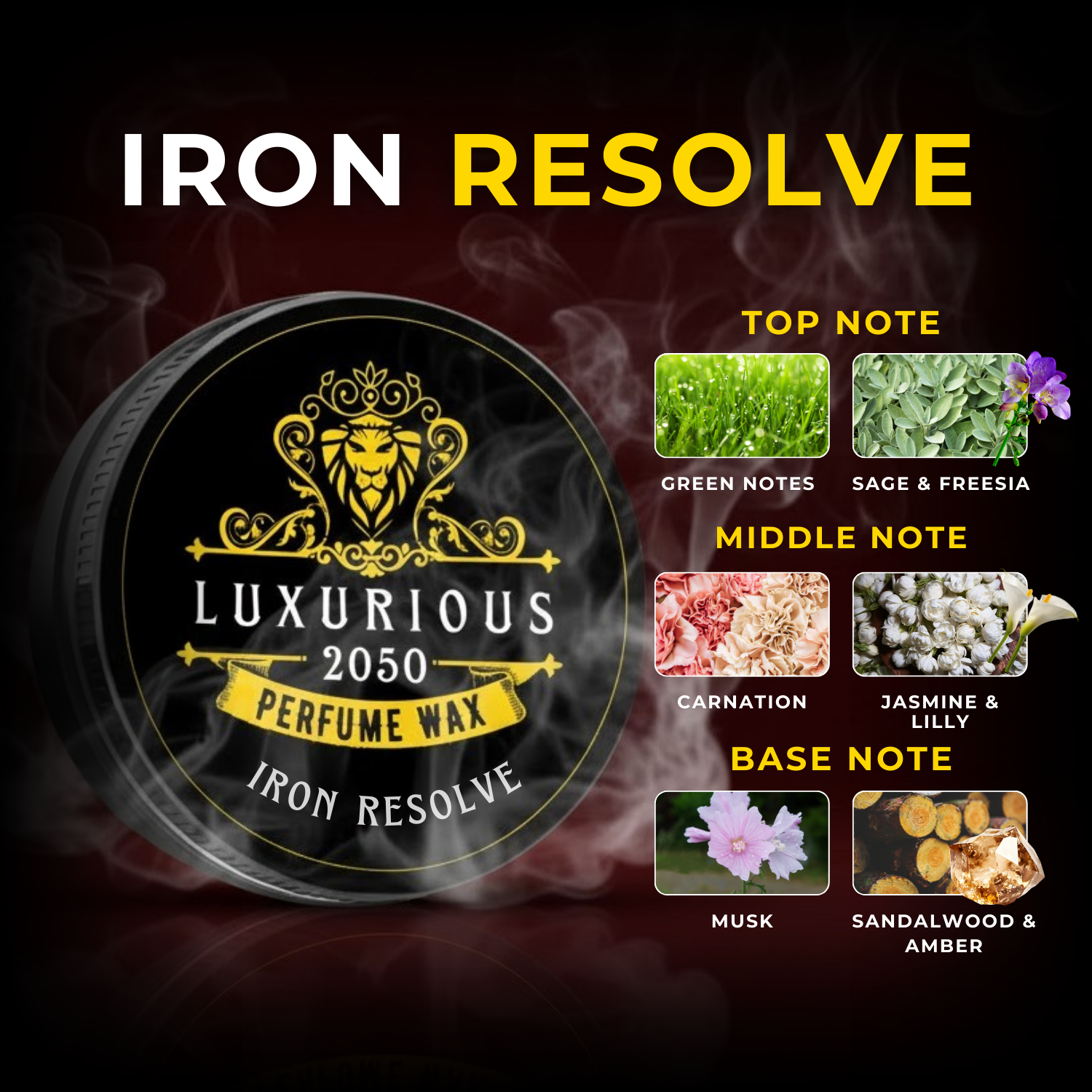 IRON RESOLVE – Steel-Tone Oud for High-Authority Men
